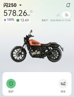QJMOTOR Flash 250 - фото 4