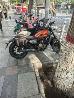 QJMOTOR Flash 250 - фото 7