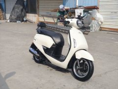 Sundiro Honda NS125LA - фото 3