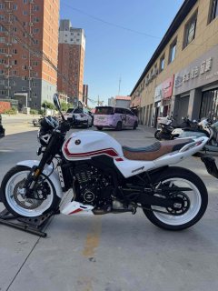 Zhangxue Motorcycles 500F - фото 7