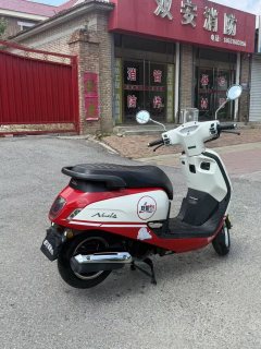 Sundiro Honda NS125LA - фото 9