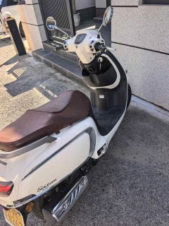 Suzuki Saluto 125 - фото 2