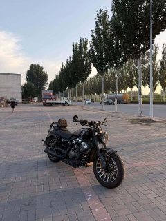 Benda 250 - фото 4