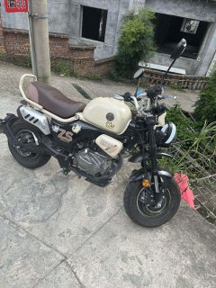 Zongshen Little Bear 150 cc - фото 3