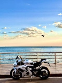 Zhangxue Motorcycles 500RR - фото 5