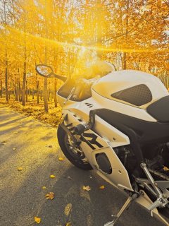 Zhangxue Motorcycles 500RR - фото 7