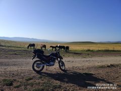 Haojue NK150 - фото 7