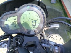Benelli Lion Cub Leoncino 500 - фото 2