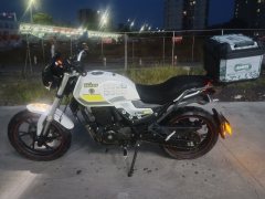 SHINERAY DM250 - фото 1