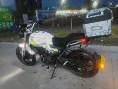 SHINERAY DM250 - фото 2