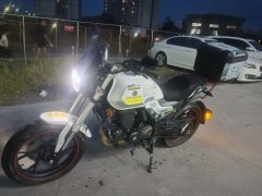 SHINERAY DM250 - фото 3