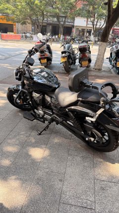 Cyclone AQS250 - фото 6