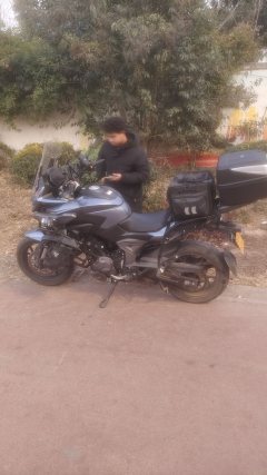 Cyclone RX650 - фото 5