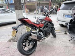 QJMOTOR 600 680 cc - фото 5