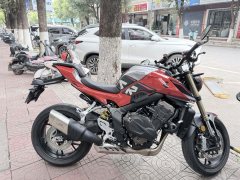 QJMOTOR 600 680 cc - фото 6