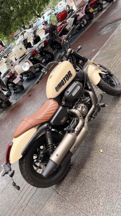 QJMOTOR 300 - фото 2