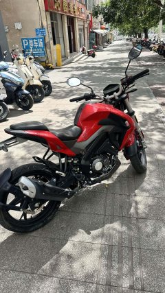 Benelli Xunlong BN150S - фото 4