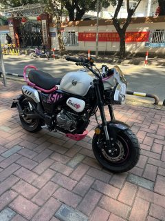 Zongshen Little Bear 150 cc - фото 1