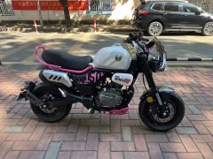 Zongshen Little Bear 150 cc - фото 2