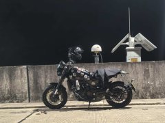 Benelli Lion Cub Leoncino 500 - фото 1