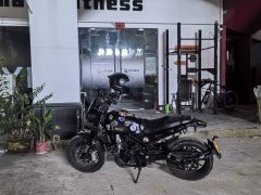 Benelli Lion Cub Leoncino 500 - фото 2