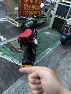 Zongshen Little Bear 150 cc - фото 2