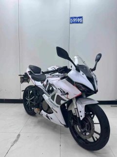 QJMOTOR 250 - фото 1