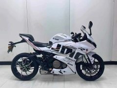 QJMOTOR 250 - фото 4