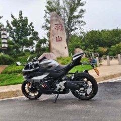 CFMOTO 450SR - фото 6