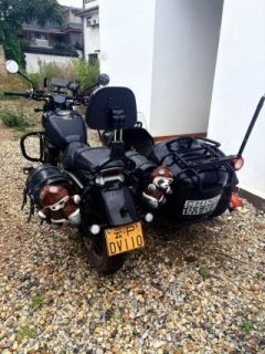 QJMOTOR 350+ - фото 4