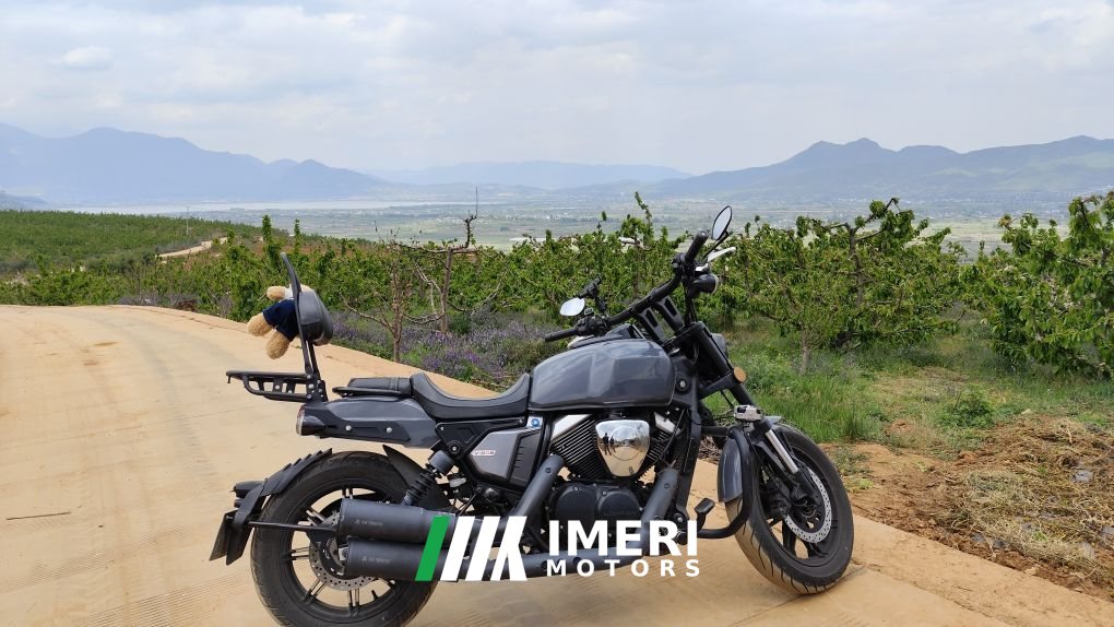 2021 Longjia V250