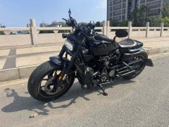 Harley-Davidson Sportster S 1250 cc - фото 4