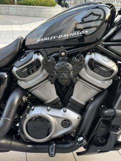 Harley-Davidson Nightster 975 cc - фото 5