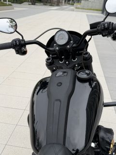 Harley-Davidson Low Rider S 1923 cc - фото 11