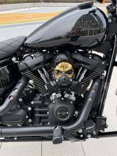 Harley-Davidson Low Rider S 1923 cc - фото 8