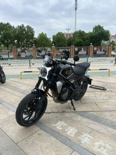 CFMOTO 250CL-X - фото 2