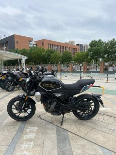 CFMOTO 250CL-X - фото 5