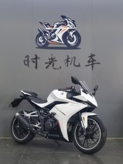 Kayo 250RR Thornbird - фото 3