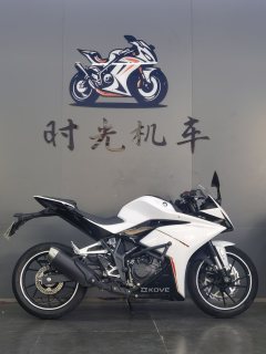 Kayo 250RR Thornbird - фото 4