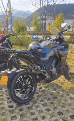 Zontes 310X - фото 2