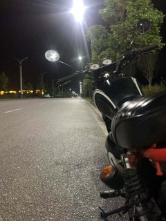 SHINERAY 440 - фото 3