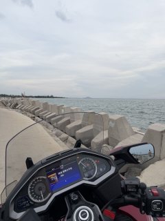Honda Gold Wing GL1800 - фото 5