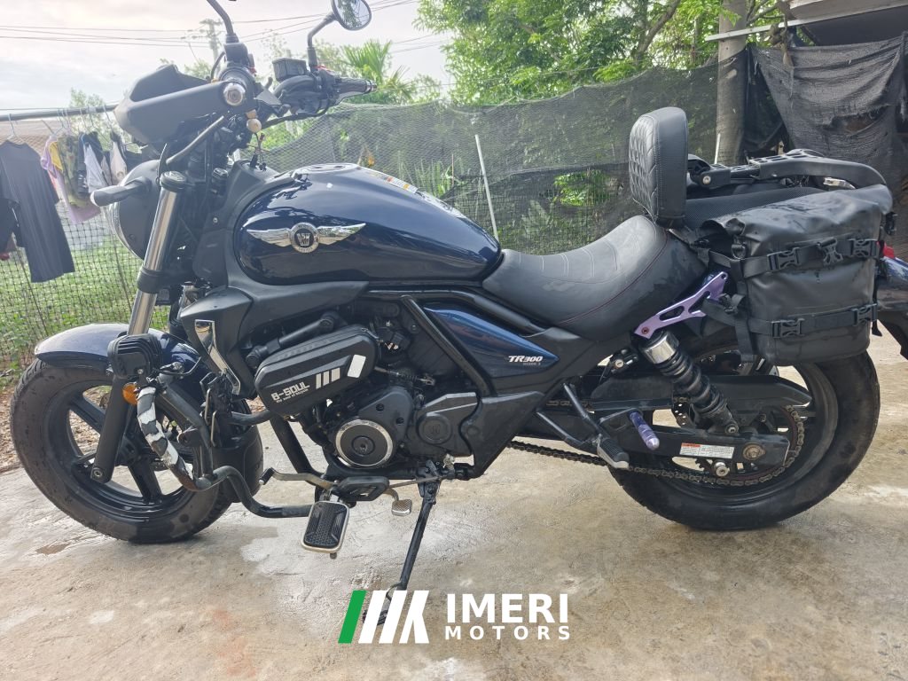 2022 Haojue TR300