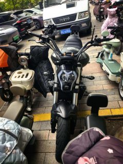 Benelli 502C 500 cc - фото 4