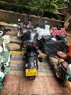 Benelli 502C 500 cc - фото 5
