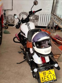 QJMOTOR 300 - фото 3