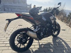 Kayo Cobra 321R 320 cc - фото 2