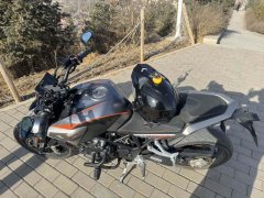 Kayo Cobra 321R 320 cc - фото 8