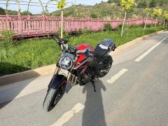 QJMOTOR 600 - фото 3