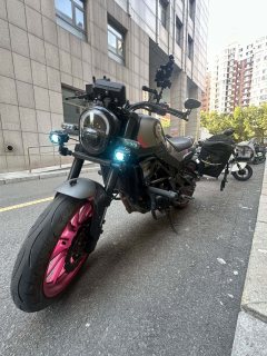 Benelli Leoncino 250 - фото 1